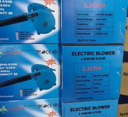electronic hand  blower 700watts